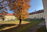 Sonnendurchflutete 2-Zimmer-Wohnung mit herrlichem Grünblick im beliebten Münichholz – liebevoll saniert, mit modernem Wohlfühlbad, praktischen Wohnräumen und perfekter Anbindung für alle, die Ruhe und Stadtnähe zugleich schätzen!