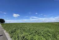 Rarität! Landwirtschaftliches Grundstück zwischen Moosbrunn und Gramatneusiedl– ca. 41.000 m² Ackerfläche zu verkaufen!