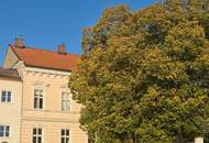 Historisches Stadthaus im Zentrum von Mauthausen!