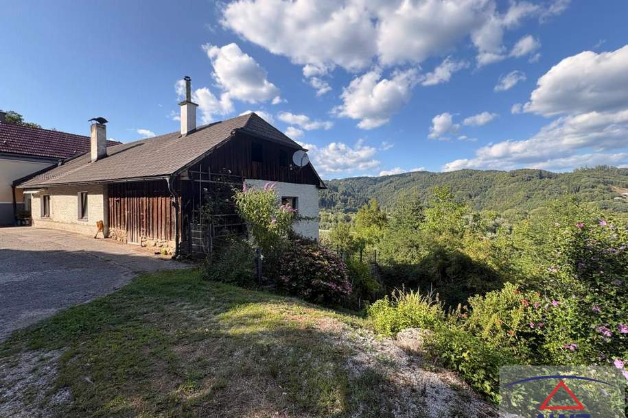 ANWESEN - Haus mit Wald zum Entspannen, Grund und Boden-kauf, 3323 Amstetten