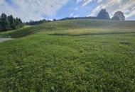 Grundstück mit unverbaubarem Panoramablick in Viehhofen