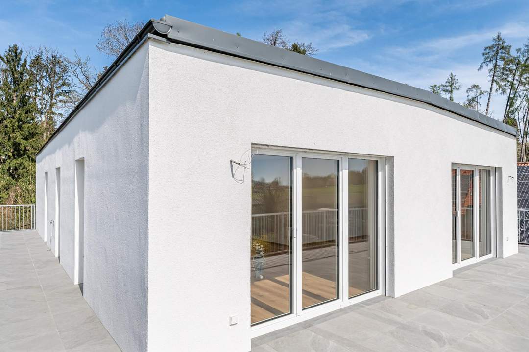 Erstbezug: Lichtdurchflutetes Penthouse mit Panorama-Ausblick