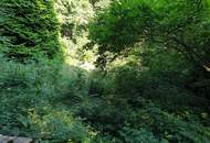 Ruhiges Kleingartengrundstück am Waldrand