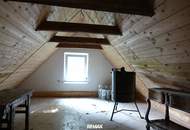 NATUR PUR - Wohnhaus in außergewöhnlicher Lage und großem Grundstück!