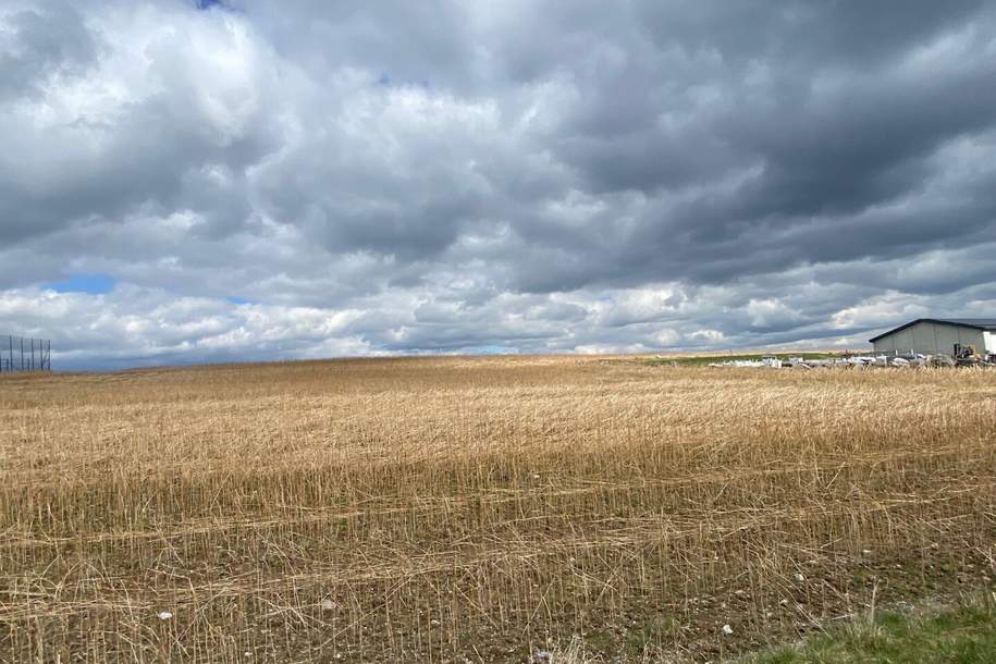 Betriebsbaugrund Krems Land, Grund und Boden-kauf, 3613 Krems(Land)