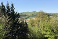 "Gediegene Villa, große Wohnfläche, viele Garagenplätze"