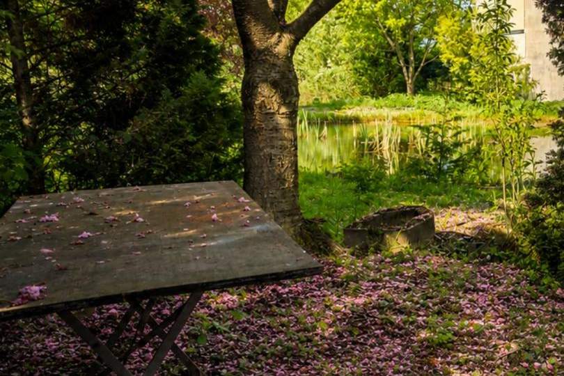 "Die kleine Muse am Teich!", Haus-kauf, 299.000,€, 2551 Baden