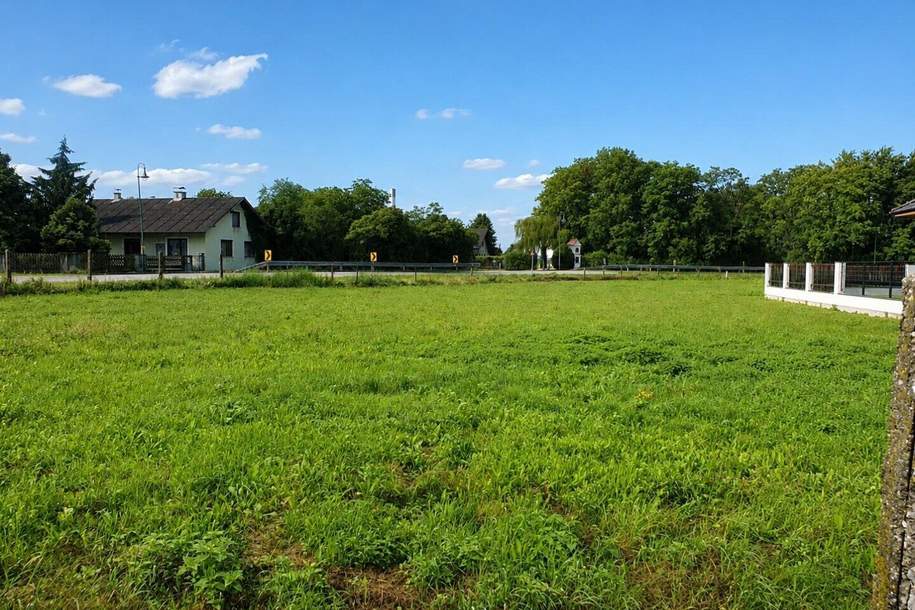 "761 m² traumhafter Eigengrund Nähe Tulln an der Donau", Grund und Boden-kauf, 130.000,€, 3435 Tulln