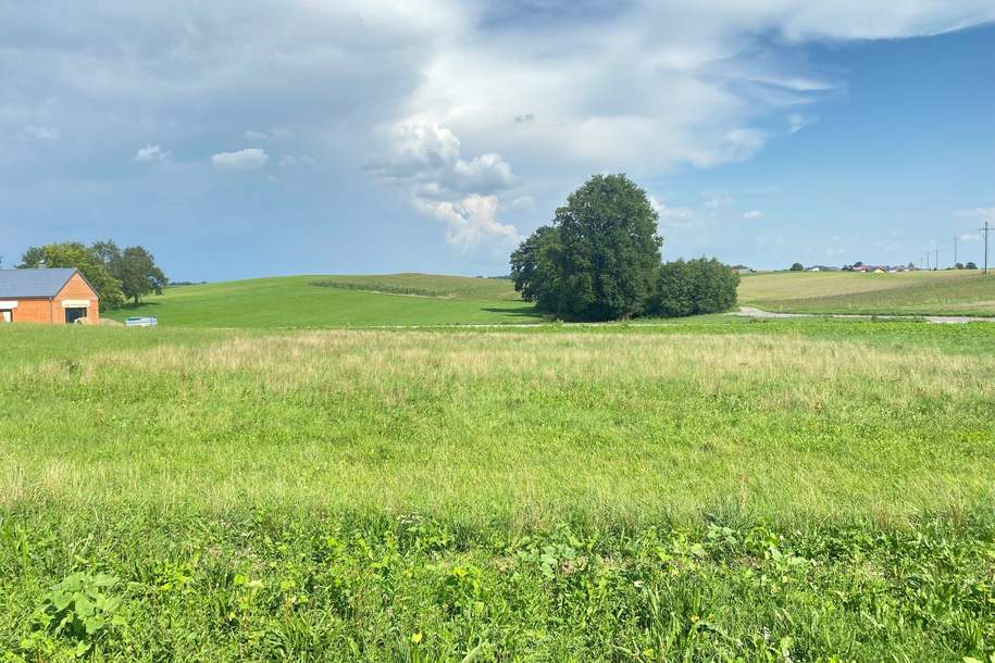 Letzter Baugrund in sonniger Siedlungslage, Grund und Boden-kauf, 88.200,€, 4751 Schärding