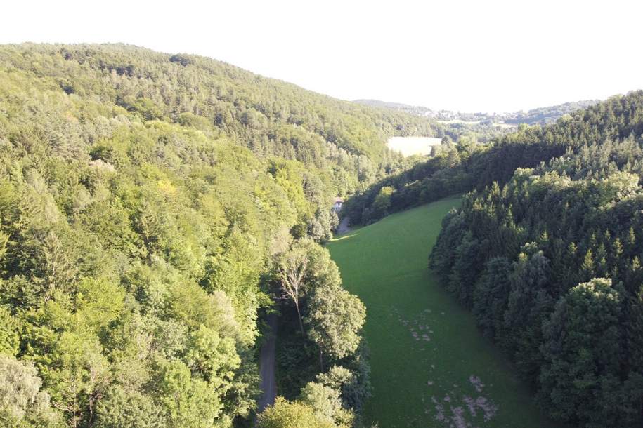 Baugrundstück in Alleinlage umgeben von Wald!, Grund und Boden-kauf, 199.000,€, 7441 Oberpullendorf
