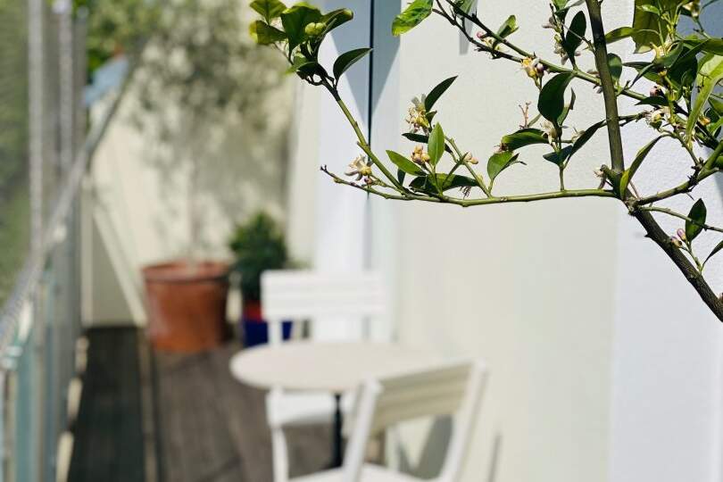 sehr helle und ruhige Dachgeschosswohnung in Hietzinger Bestlage, Wohnung-kauf, 848.000,€, 1130 Wien 13., Hietzing