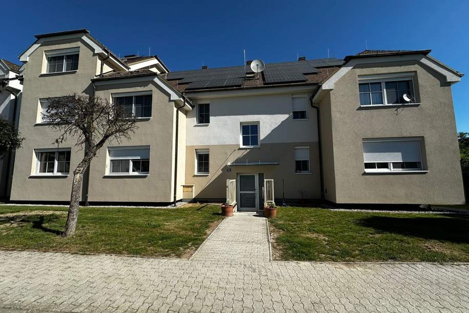 Wohnkomfort im Grünen – 3 Zimmer Eigentumswohnung in 2222 Kollnbrunn, Wohnung-kauf, 189.000,€, 2222 Gänserndorf