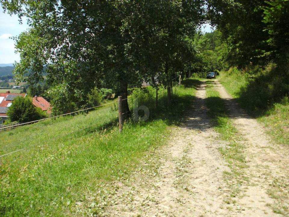 SONNIGE HANGLAGE AM WALDRAND