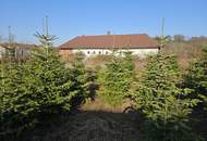 Landwirtschaftliche Flächen &amp; Gutshof