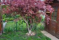 Reihenhaus mit Südgarten und 3 Terrassen! Ruhelage!