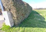 Leistbares Baugrundstück mit Sonne und gut 1.000 m² in Misselsdorf bei Mureck