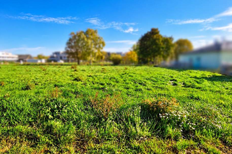 Wohnen im Grünen – mit der Stadt in greifbarer Nähe, Grund und Boden-kauf, 419.400,€, 2100 Korneuburg