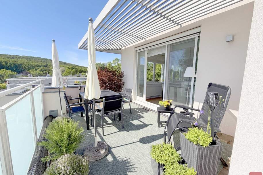 Edle Dachgeschoßwohnung mit Dachterrasse auf Leibrente zu kaufen, Wohnung-kauf, 1.090.000,€, 1190 Wien 19., Döbling