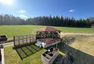 ALLEINLAGE IM GRÜNEN – ein Ort für Menschen, die Freiheit, Ruhe und Natur lieben!