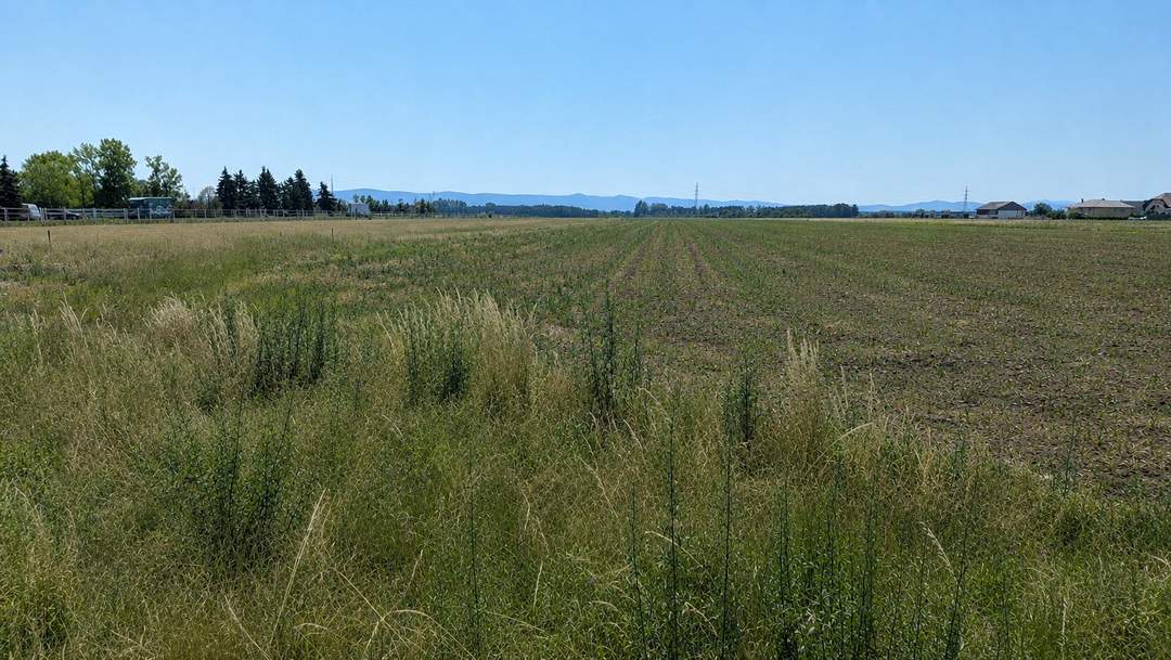 Baugrund in Bad Fischau-Brunn mit herrlichem Blick in die Ferne!