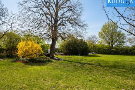 Aufgeschlossenes und ebenes Eckgrundstück in GF-Süd, Grund und Boden-kauf, 230.000,€, 2230 Gänserndorf