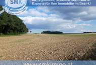 Acker bei Maissau - 3,42 ha landwirtschaftliche Nutzfläche!