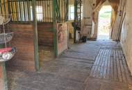 Wunderschöner Vierkanthof mit Pferdekoppel, ruhig und sonnig gelegen