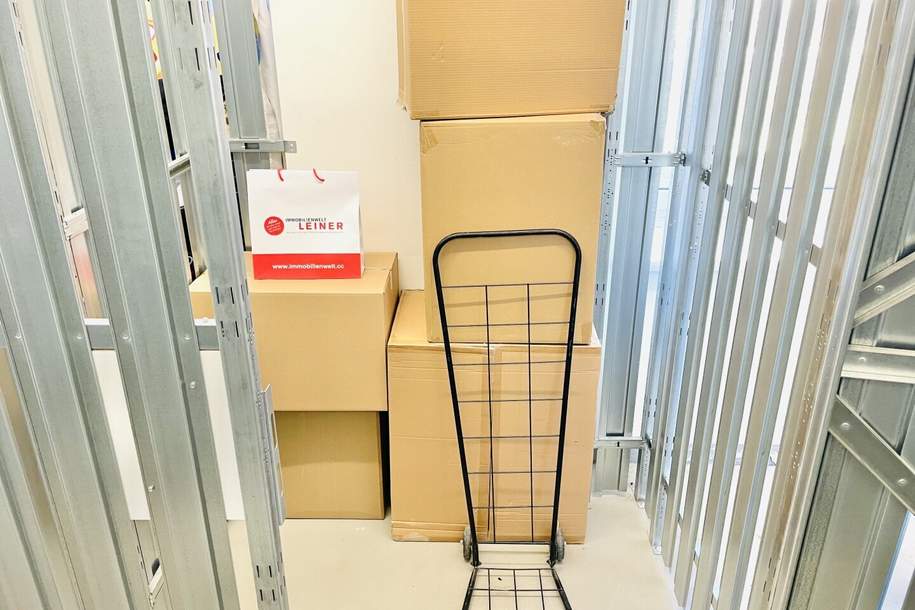 Lager in Schwechat zu mieten | zentrale Lage | sofort verfügbar, Gewerbeobjekt-miete, 36,00,€, 2320 Bruck an der Leitha