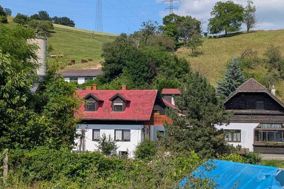 IDYLLISCHE GRÜNRUHELAGE - über 200 m² Wohnfläche - 1.463 m² Grund - zwei getrennte Wohneinheiten, Haus-kauf, 895.000,€, 3400 Tulln