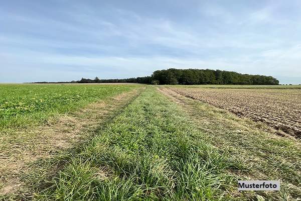 Landwirtschaftsfläche + provisionsfrei +, Grund und Boden-kauf, 4.800,€, 8344 Südoststeiermark