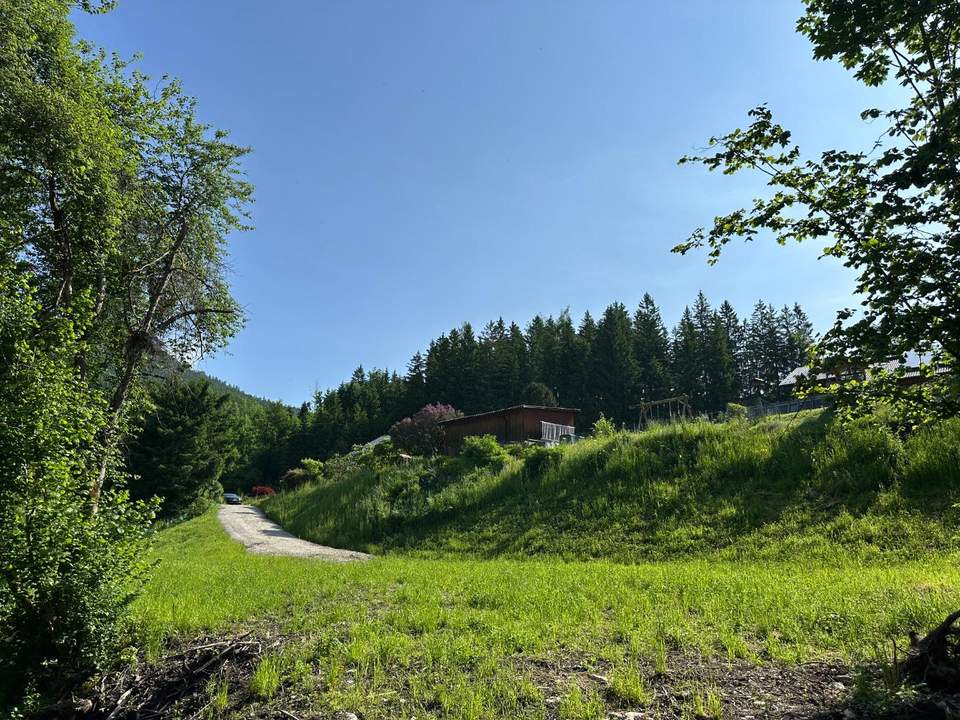 ***Baugrundstück in idyllischer Lage mit Bachlauf (134/5) – Ihr Traumhaus wartet auf Sie!***