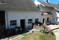 Charmantes Einfamilienhaus mit Garten, Lagerhalle und modester Ausstattung in Pachfurth!