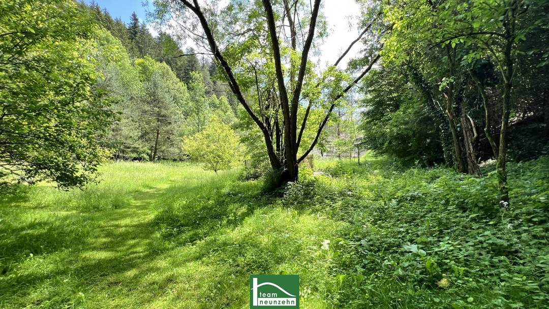 Zurück zur Natur in Kirchberg. Einzigartiges Baugrundstück, ca. 20-30% bebaubar, in absoluter Ruhe- &amp; Naturlage. (gesamt ca. 4.700m²)