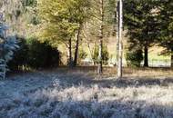 Grundstück in Gaupmannsgraben/ Ramsau (Land- Forstwirtschaft)