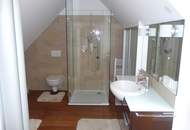 Penthousewohnung in Linz/Urfahr