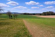 Liegenschaft mit ca. 20 ha landwirtschaftliche Nutzflächen