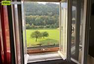 7,6 % Rendite – vermietete Doppelhaushälfte mit zusätzlicher Wohneinheit zur Renovierung und Selbstnutzung.