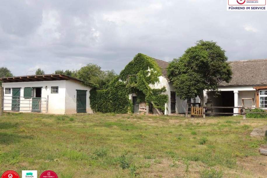 10 Pferdestellplätze – Charmantes Bauernhaus für Pferdeliebhaber, Haus-kauf, 420.000,€, 2114 Korneuburg