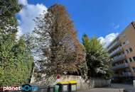 Solide Kapitalanlage in zentraler Lage