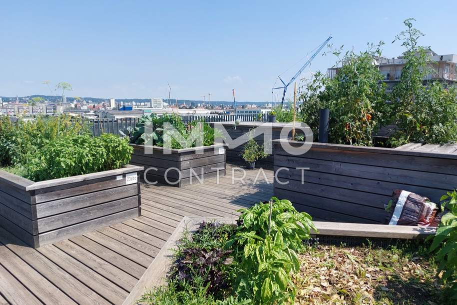 WEIHNACHTSAKTION: 1. MONAT MIETFREI: SCHÖNE 2-ZIMMERWOHNUNG MIT TOP AUSSTATTUNG+ BALKON + TG, Wohnung-miete, 749,00,€, 8020 Graz(Stadt)