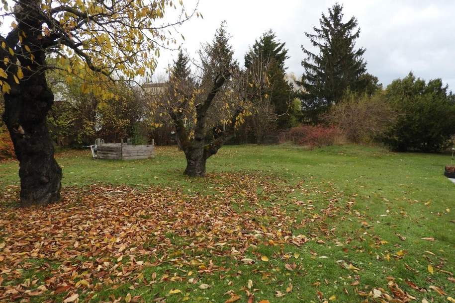 "Hier steckt was drin – Ihr Eigengrund in guter Gegend!", Grund und Boden-kauf, 750.000,€, 1220 Wien 22., Donaustadt