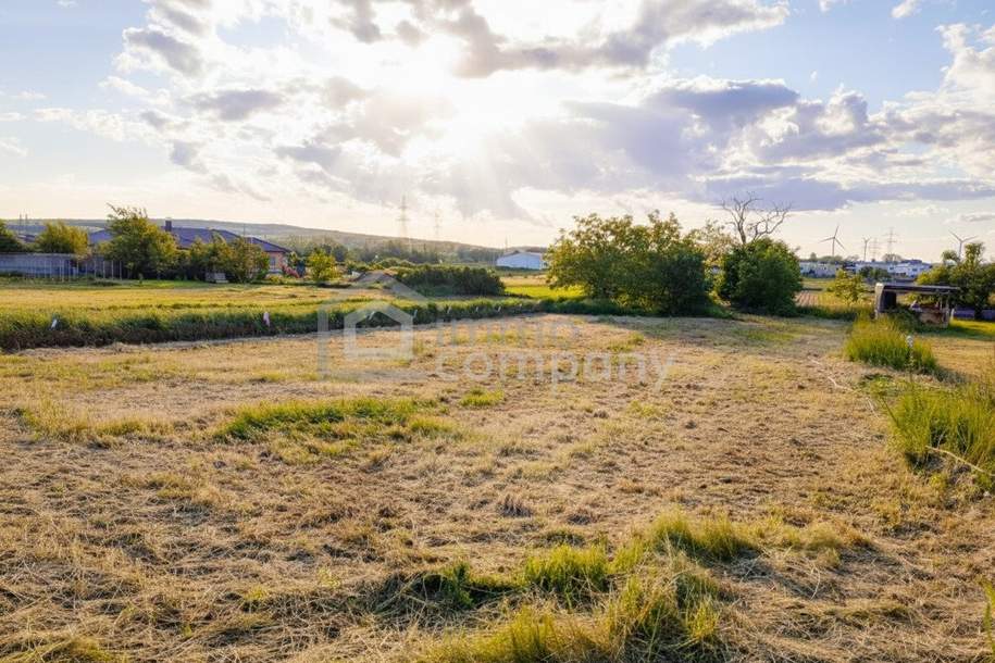 Baugrundstück mit unverbaubarem Fernblick - wunderbare Grünruhelage!, Grund und Boden-kauf, 369.000,€, 7111 Neusiedl am See