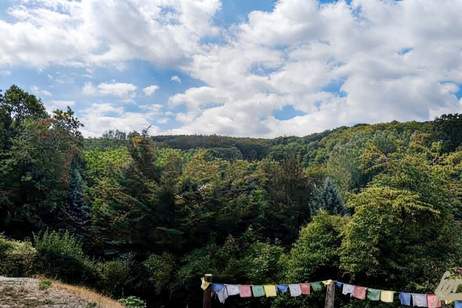 Renovierte 1900er-Jahre Villa in Alleinlage – Ruhe und Natur pur am Berg, Haus-kauf, 780.000,€, 3434 Tulln