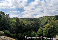 Renovierte 1900er-Jahre Villa in Alleinlage – Ruhe und Natur pur am Berg