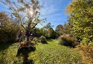 Charmantes Eckreihenhaus in begehrter Wohnlage von Bad Vöslau