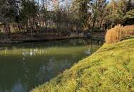 Einzigartiges Baugrundstück mit großem Schwimmteich in Graz