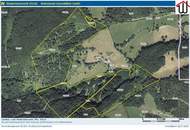 Wald 28,3 ha bei Schwarzenbach/Pielach