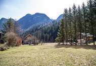 Traumhaftes Baugrundstück in Gosau – für Zweit- und Hauptwohnsitz