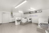 Ruhige 3-4-Zimmer-Wohnung mit privater Dachterrasse neben Trillerpark