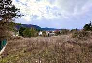 Großes Grundstück für Bauträger oder privaten Wohnbau! Bebauungsstudie vorhanden! Altbestand!